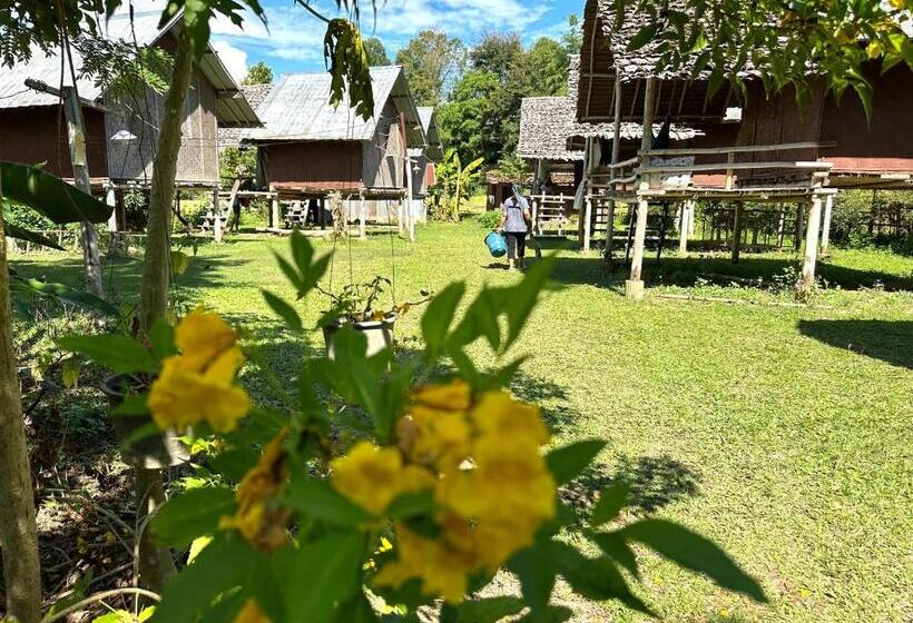 פנסיון Twin Hut