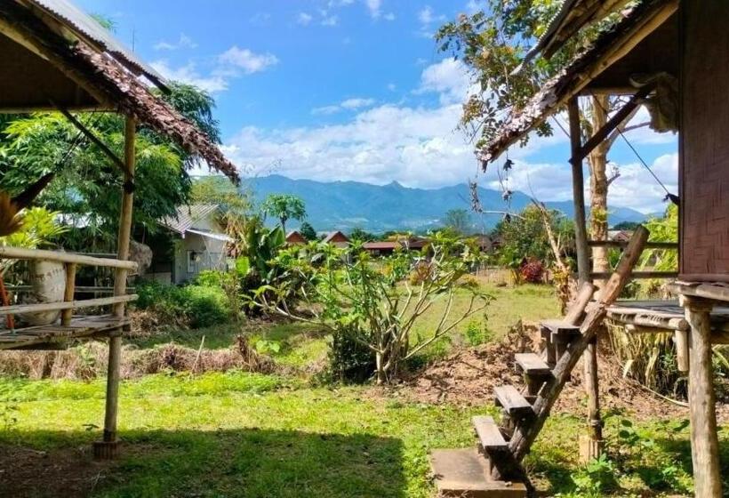 פנסיון Twin Hut