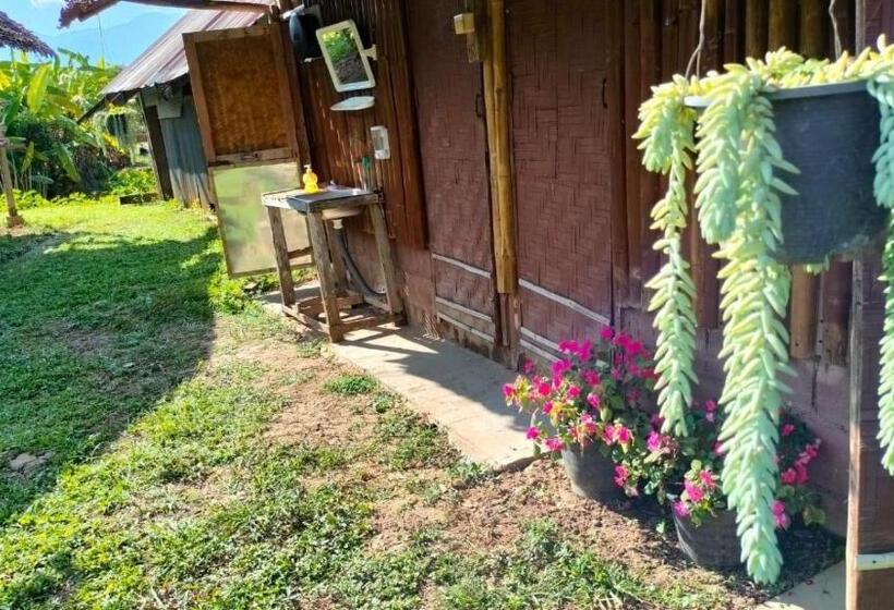 פנסיון Twin Hut