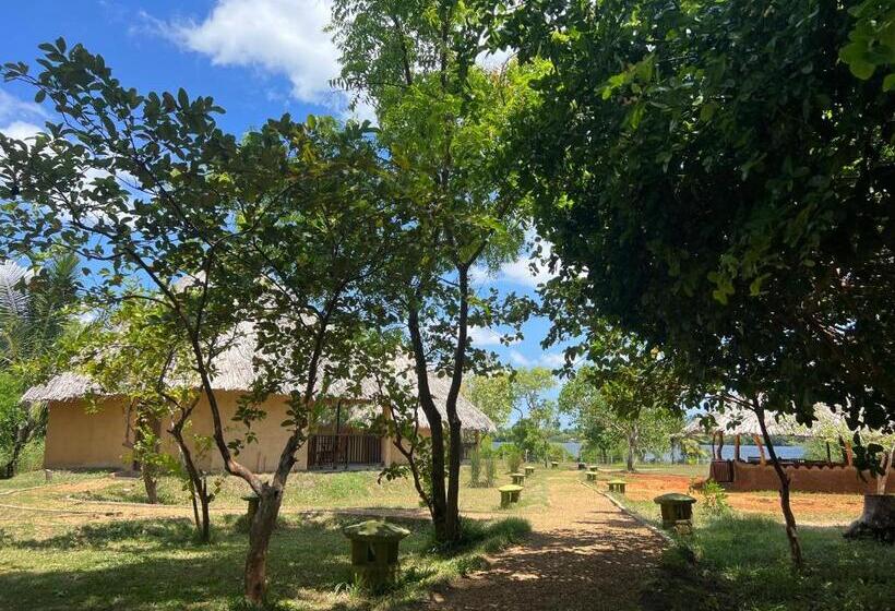 Отель Saffron Lake Yala