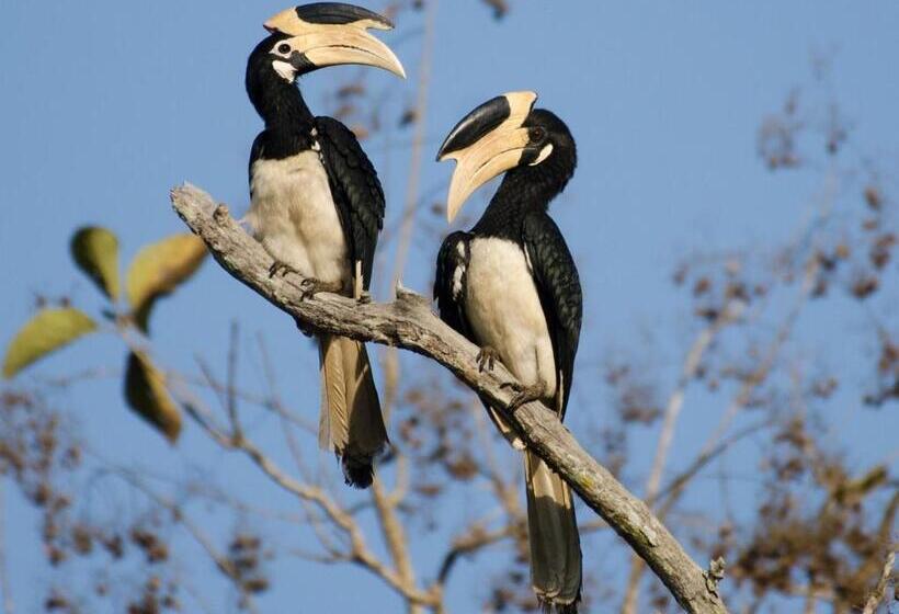 Отель Saffron Lake Yala