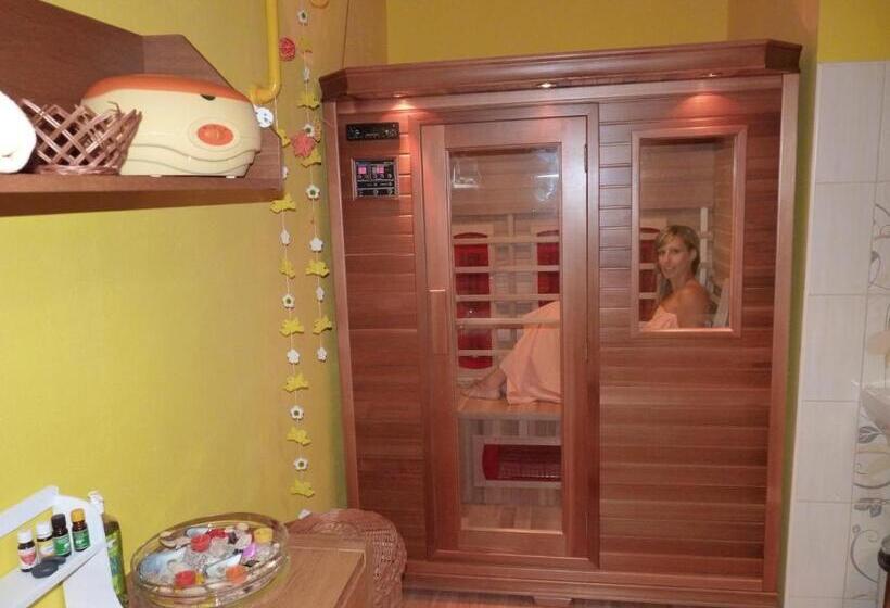 膳宿费 Penzion Hakl