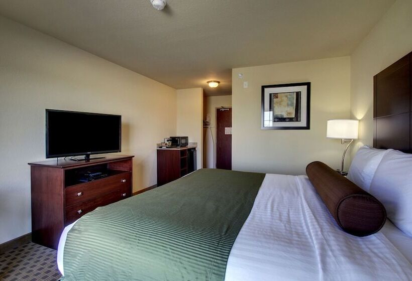 Cobblestone Hotel & Suites   Newton