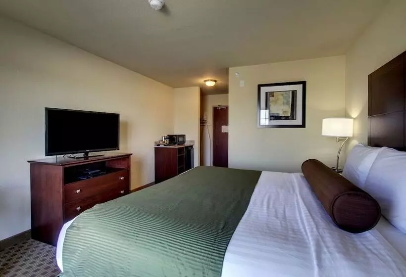 Cobblestone Hotel & Suites   Newton