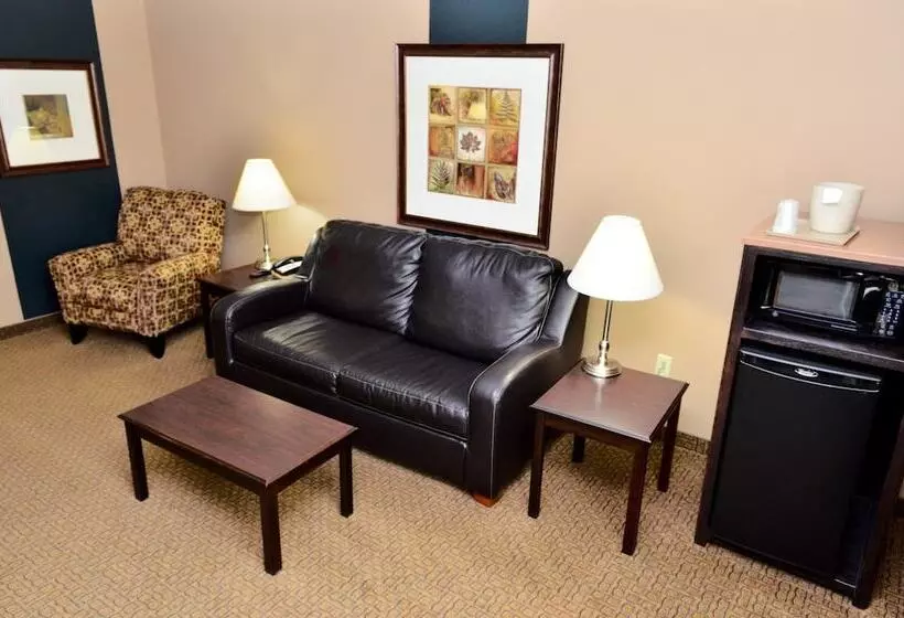 Hôtel Cobblestone Inn & Suites  Lake View