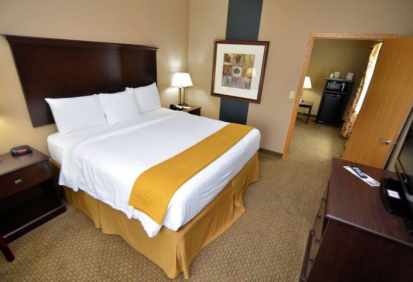 فندق Cobblestone Inn & Suites  Lake View