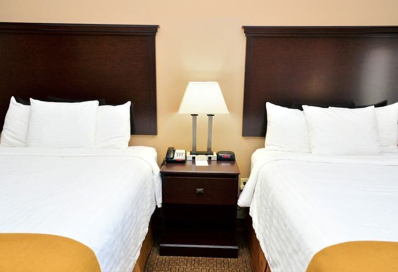 فندق Cobblestone Inn & Suites  Lake View