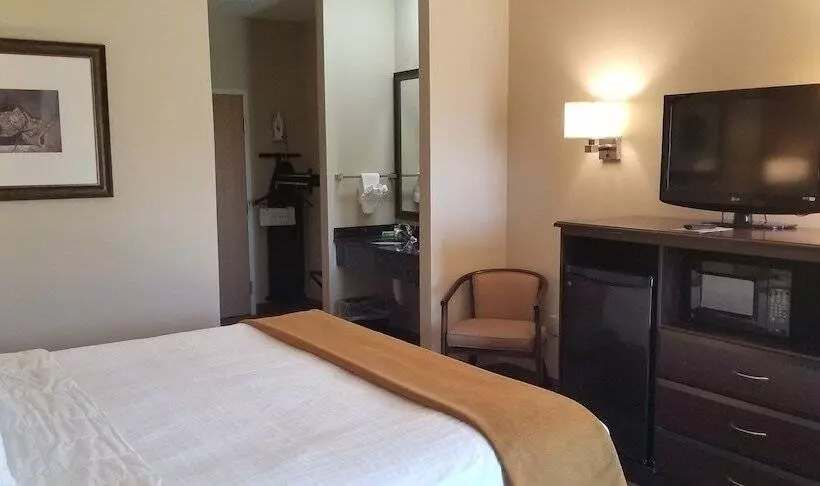 Hôtel Cobblestone Inn & Suites  Lake View