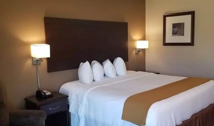 Hôtel Cobblestone Inn & Suites  Lake View