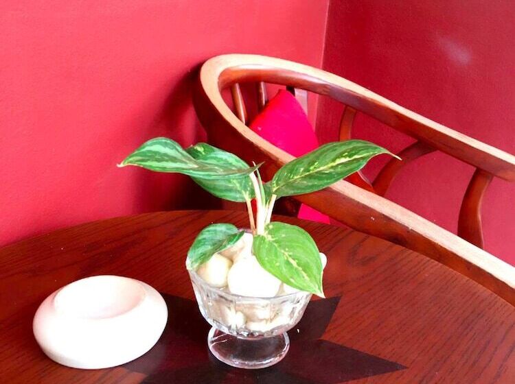 Отель Kantiang Oasis Resort & Spa