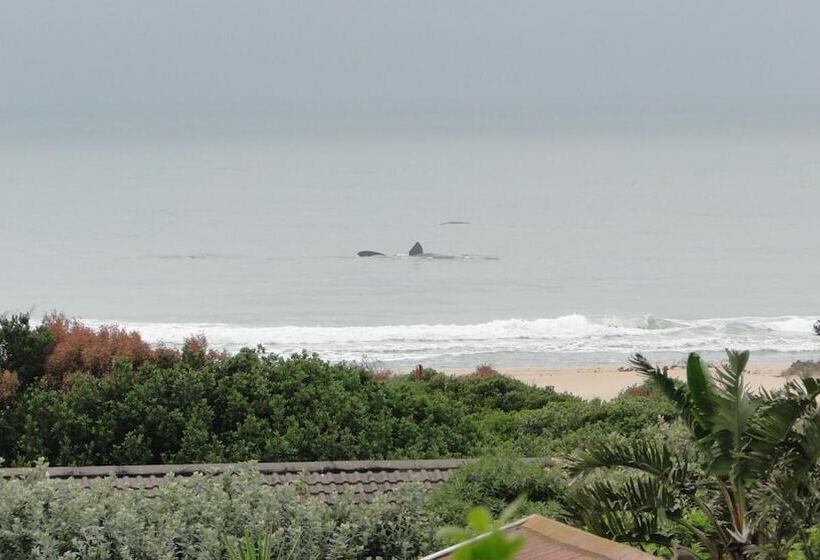 تختخواب و صبحانه Bluewater Beach Accommodation