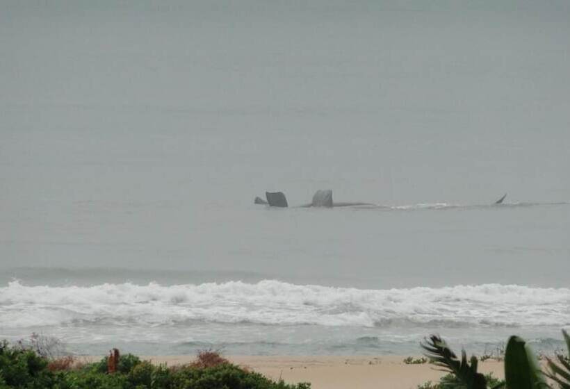 تختخواب و صبحانه Bluewater Beach Accommodation