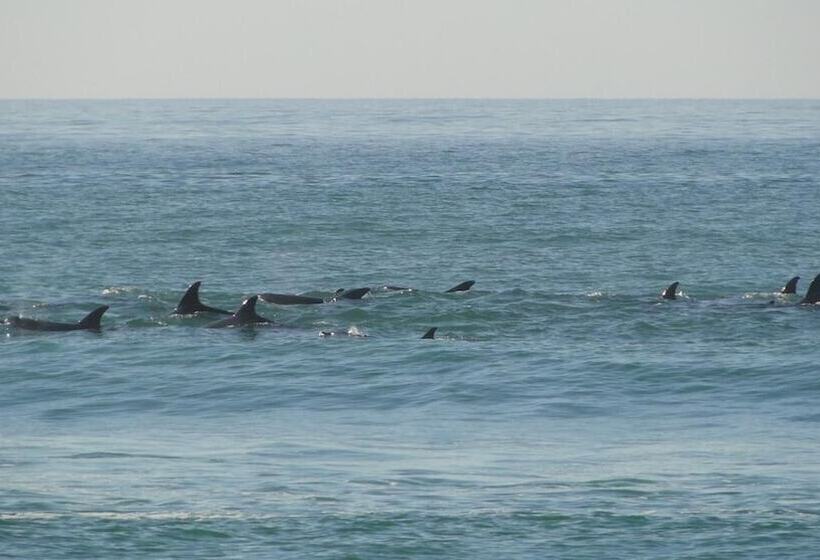 تختخواب و صبحانه Bluewater Beach Accommodation