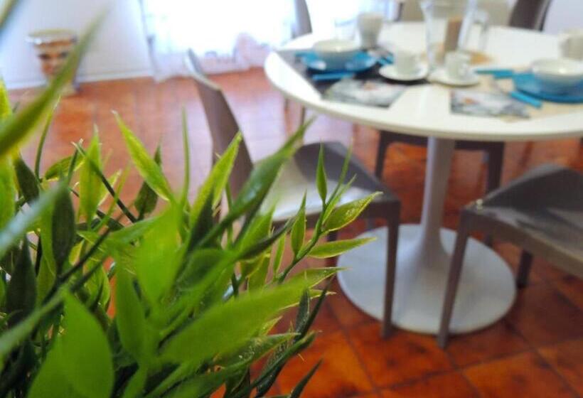 تختخواب و صبحانه In Itinera