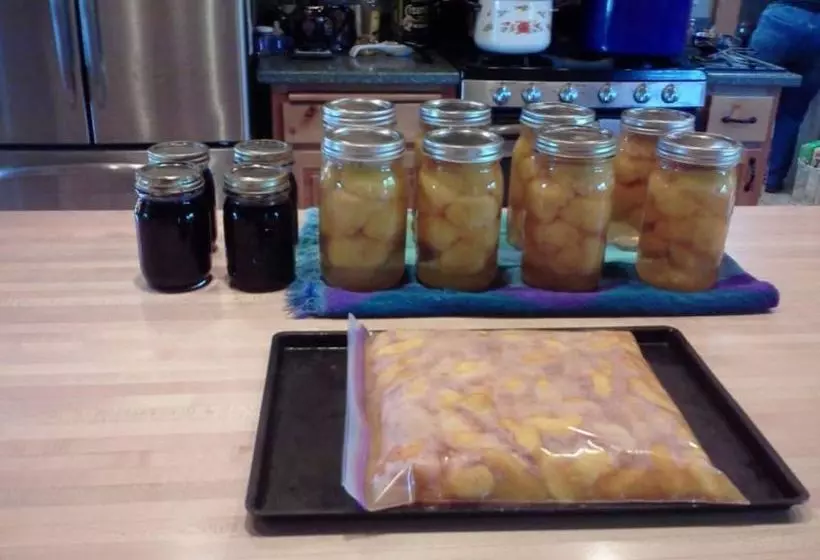 Mt. Emily Ranch Bed And Breakfast