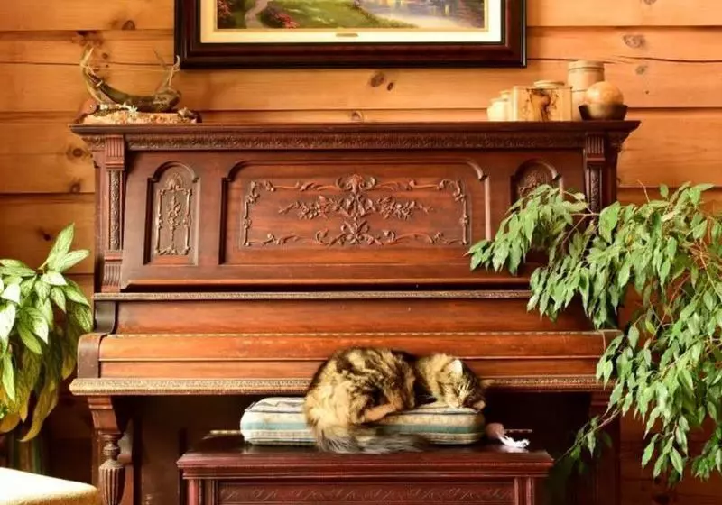 Mt. Emily Ranch Bed And Breakfast