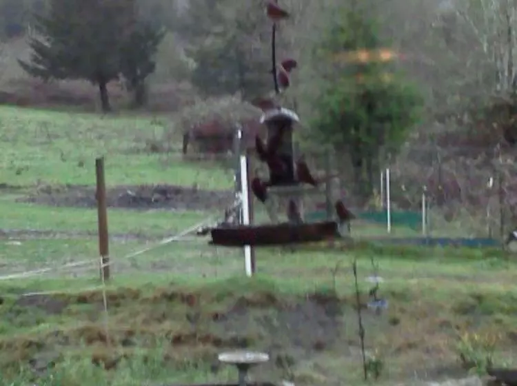 Mt. Emily Ranch Bed And Breakfast