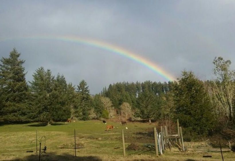 Mt. Emily Ranch Bed And Breakfast