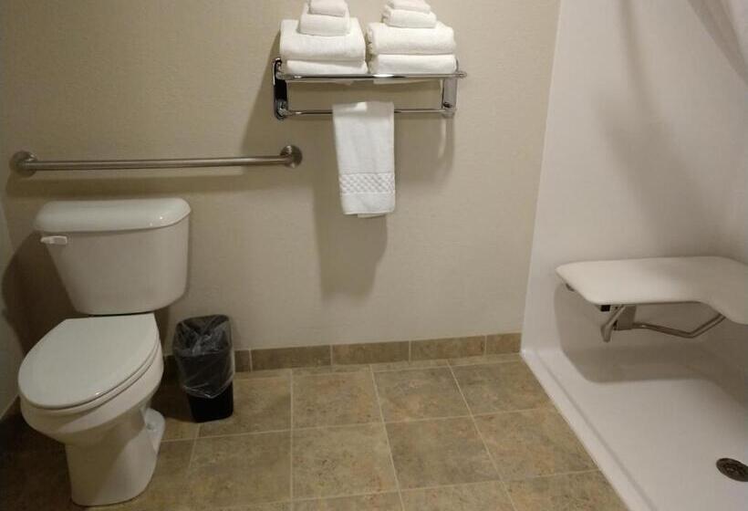 فندق Cobblestone Inn & Suites Monticello