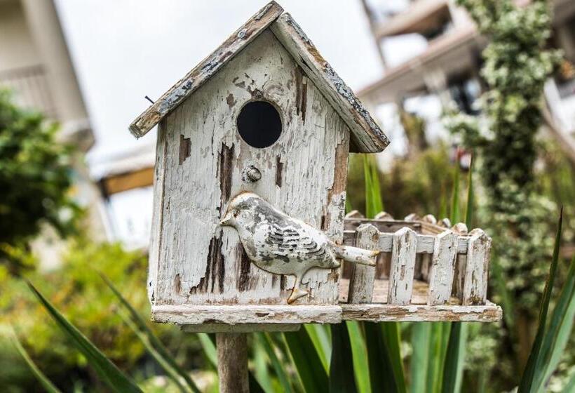 Отель Primea Beach Residence