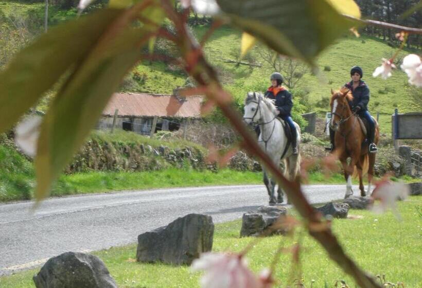 Отель Rosmo House B&b