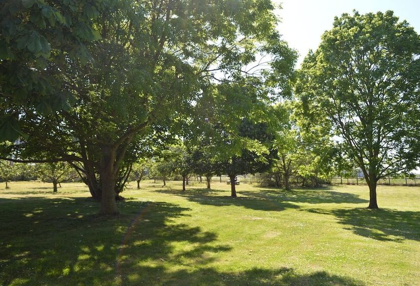 Bed and Breakfast Orchard Lodge & Wolds Restaurant