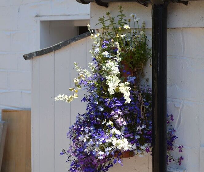 Bed and Breakfast Orchard Lodge & Wolds Restaurant