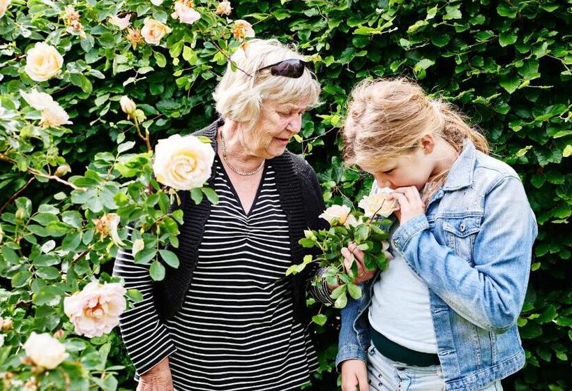 Hostel Agger Vandrerhjem