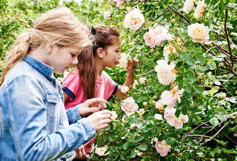 Hostel Agger Vandrerhjem