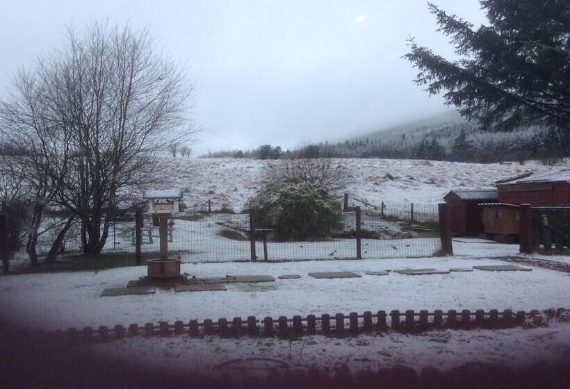 בית מלון כפרי Clifton Cottage