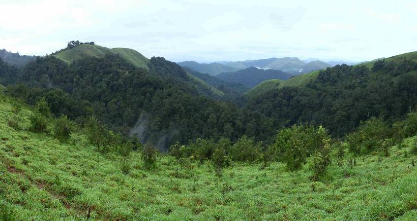 ホテル Springdale Heritage