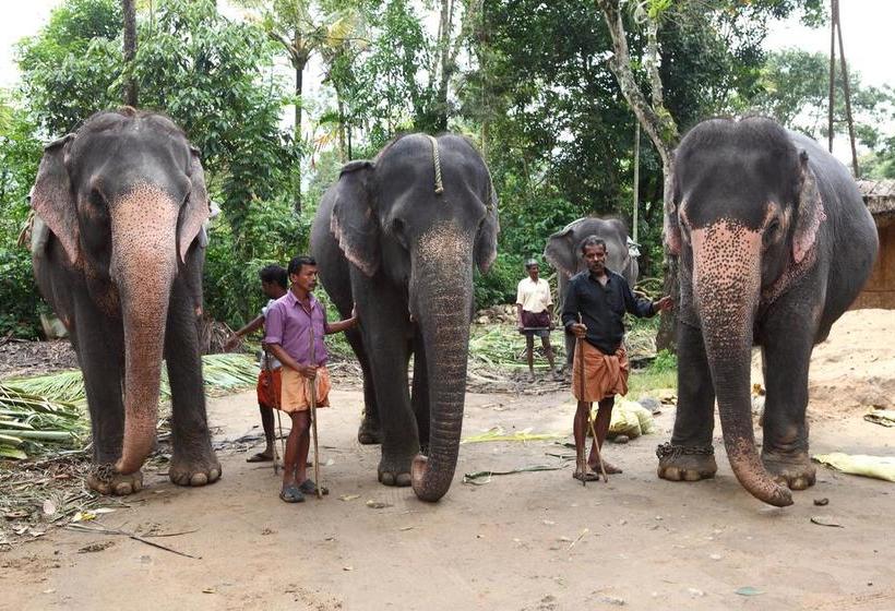 ホテル Springdale Heritage