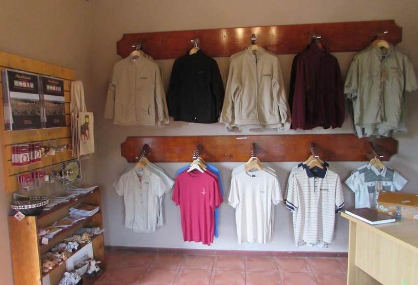 فندق Woodbury Lodge – Amakhala Game Reserve