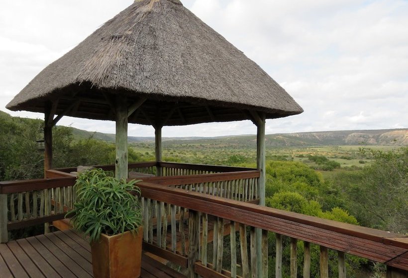 فندق Woodbury Lodge – Amakhala Game Reserve