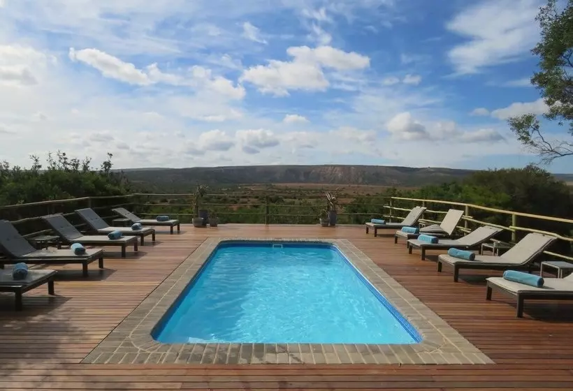 Hotelli Woodbury Lodge – Amakhala Game Reserve