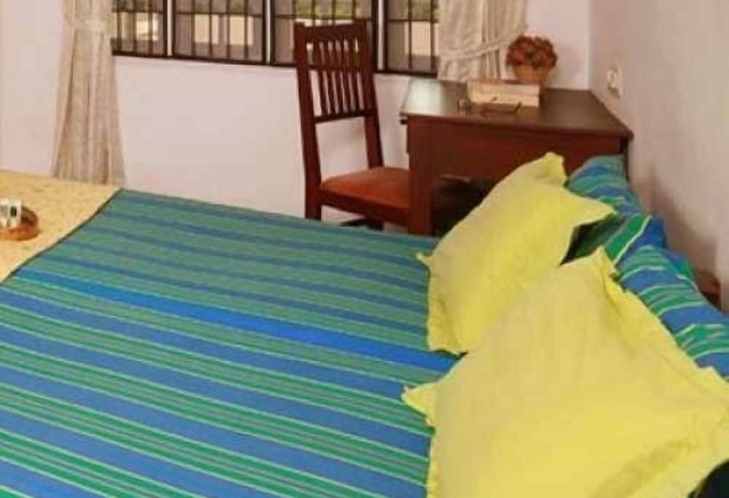 Orion Holiday Homestay