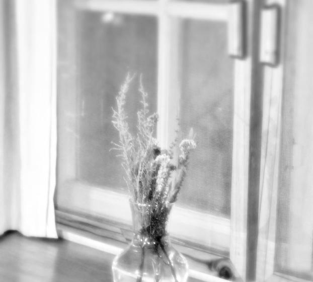 بنسيون Port Wine Guest House