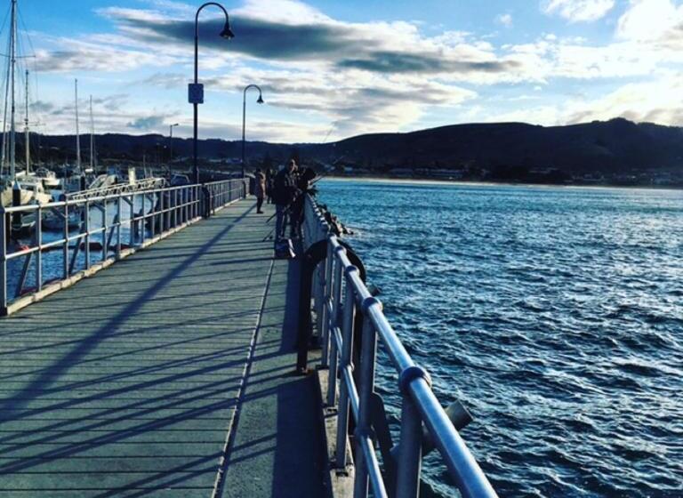 The Dolphin Apartments