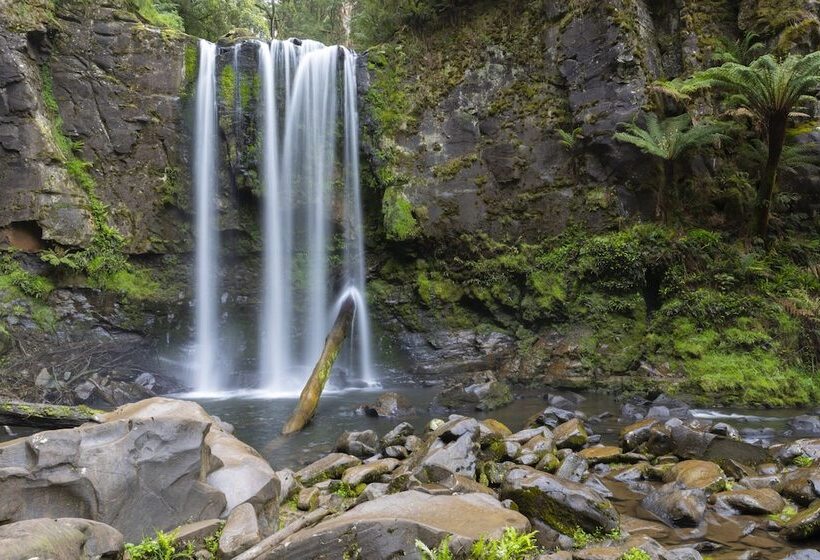 The Dolphin Apartments