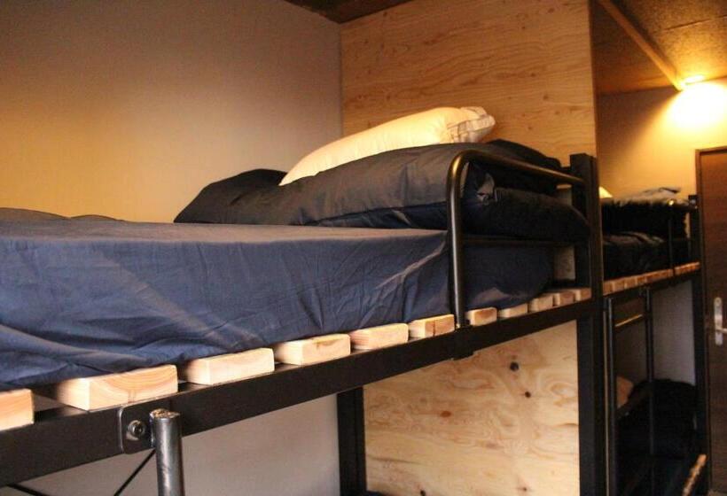 ユースホステル Kamp Houkan Cho Backpacker S Inn & Lounge