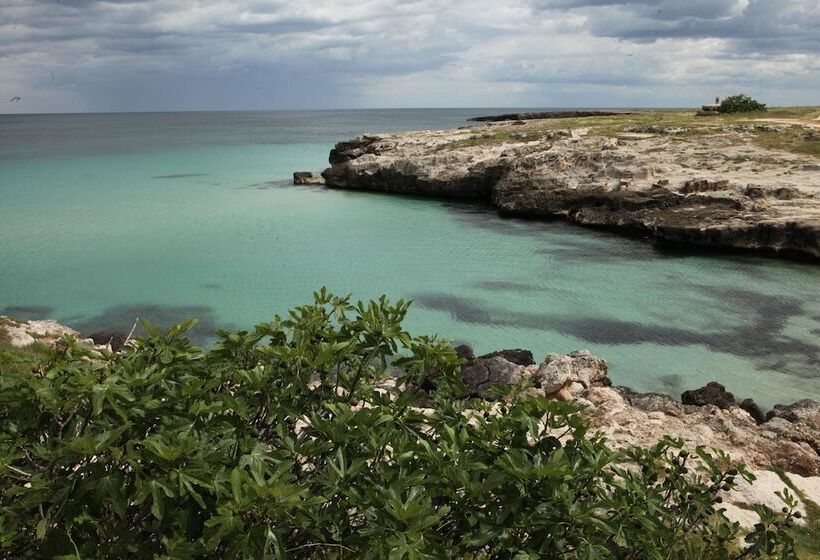 تختخواب و صبحانه Playa Del Mar  Adults Only