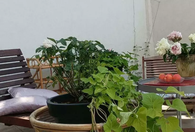 تختخواب و صبحانه Maison Arelate