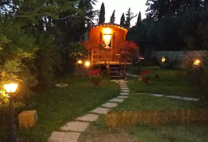 Phoenix B&b