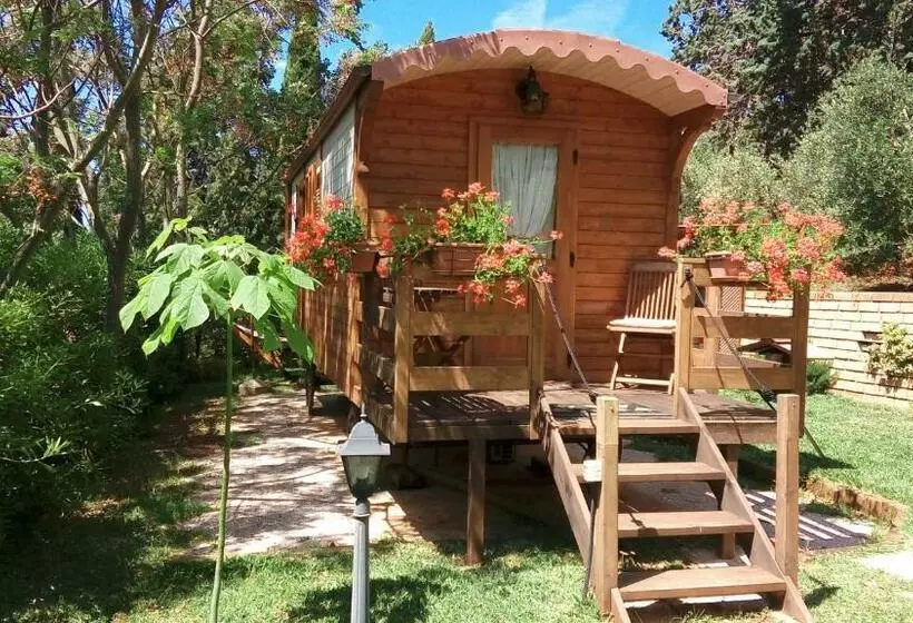 Phoenix B&b