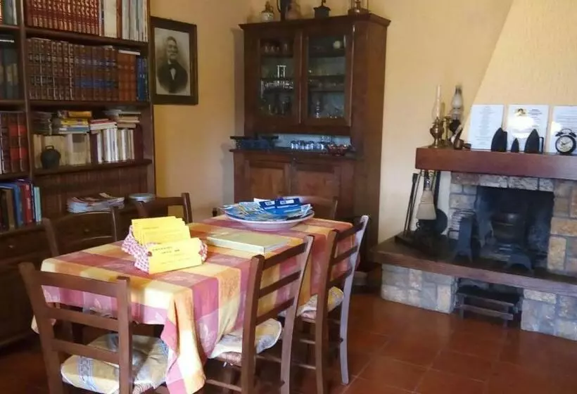 Phoenix B&b