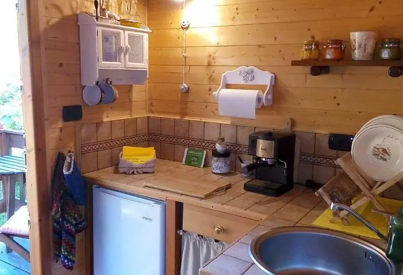 Phoenix B&b