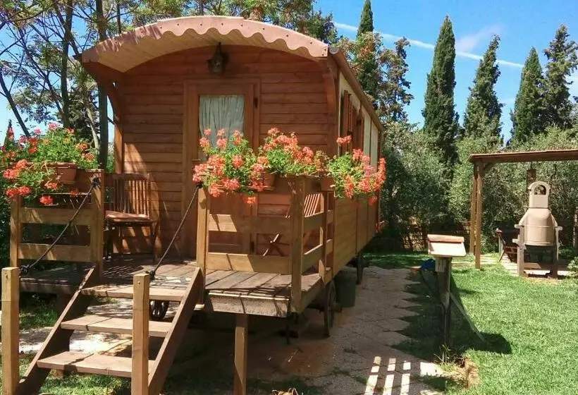 Phoenix B&b