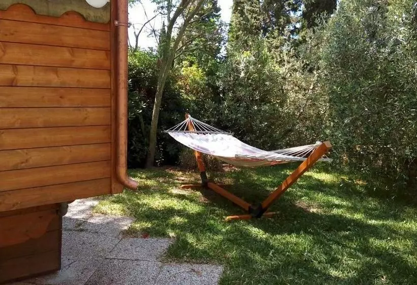 Phoenix B&b