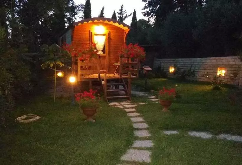 Phoenix B&b