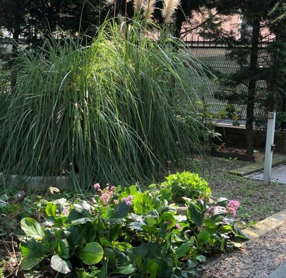 تختخواب و صبحانه Il Villino Della Duchessa